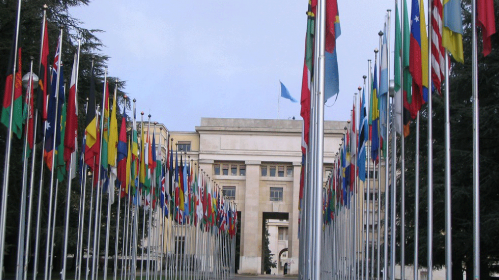 EL PACTO MUNDIAL DE LA ONU el pacto mundial de la onu: